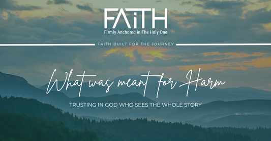 What Was Meant for Harm | Trusting in God Who Sees the Whole Story